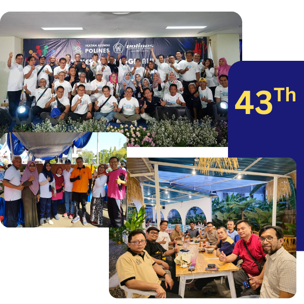 43 (2) 43 (2)